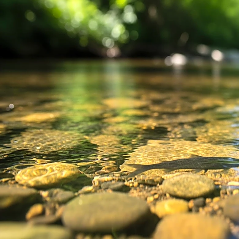Environmentalists Challenge Copperwood Mine Permit Over Endangered Fish Concerns