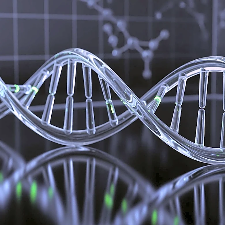 Genetic Survey Reveals Flaws in Mouse Models, Impacting Biomedical Research