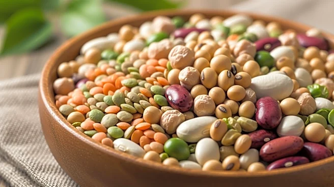 Study Links Soy and Legume Consumption to Lower Blood Pressure Risk