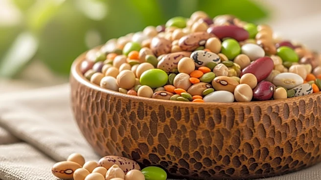 Research Highlights Benefits of Soy and Legumes in Reducing High Blood Pressure