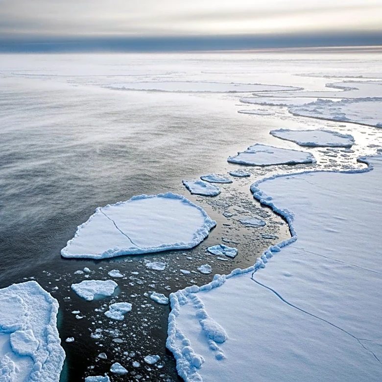 Antarctica's Sea Ice Loss Explained: Strong Winds and Ocean Dynamics Identified as Key Factors