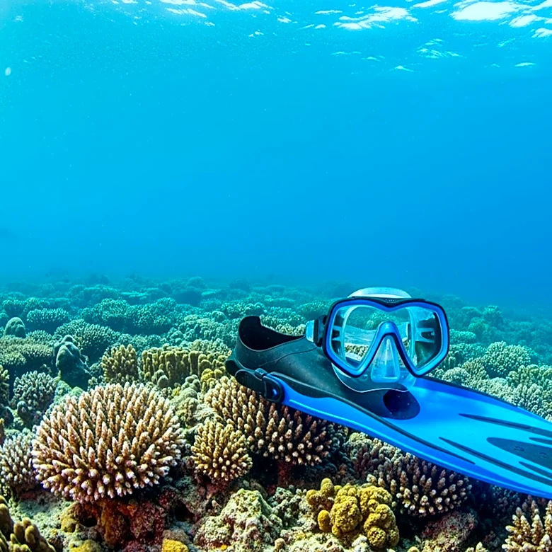 Maldives Scuba Diving Tragedy: Sole Survivor's Decision to Stay Aboard Saves Her Life