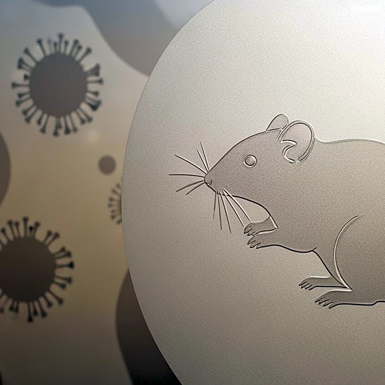 Geneva High School Student Suspected of Hantavirus Infection in Ontario County