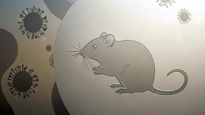 Geneva High School Student Suspected of Hantavirus Infection in Ontario County