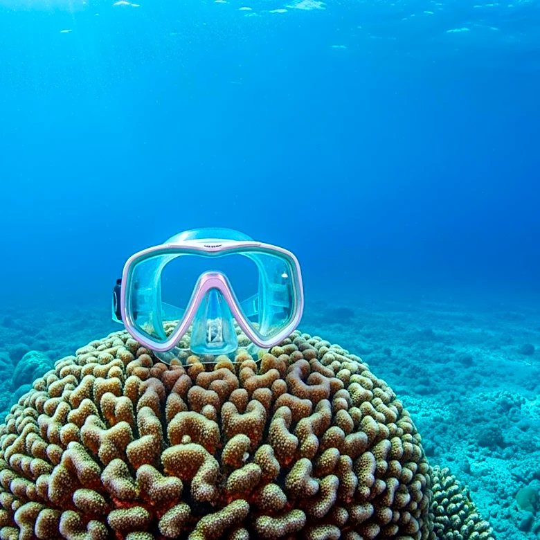 Maldives Scuba Diving Tragedy: Sole Survivor Escapes Death as Five Others Perish
