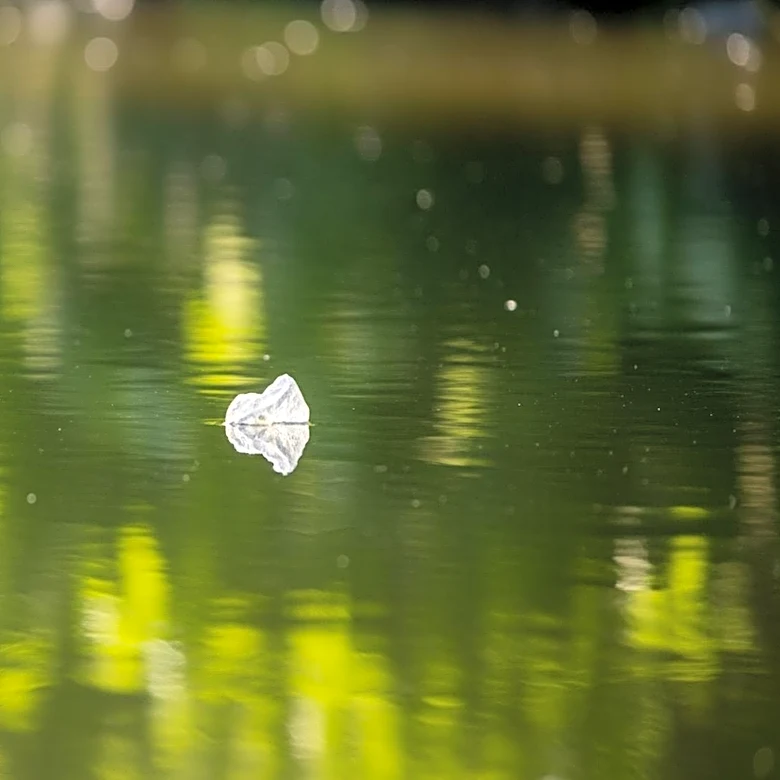 Keep America Beautiful Reports 34% Reduction in Litter Since 2020, Yet 35 Billion Pieces Remain
