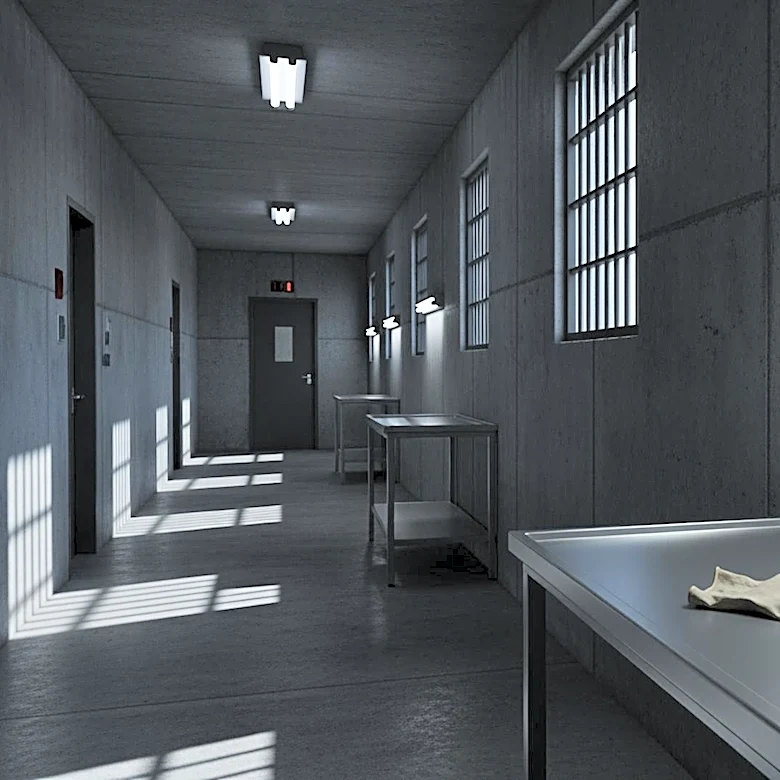 California Report Highlights Deaths and Medical Care Issues in ICE Detention Centers