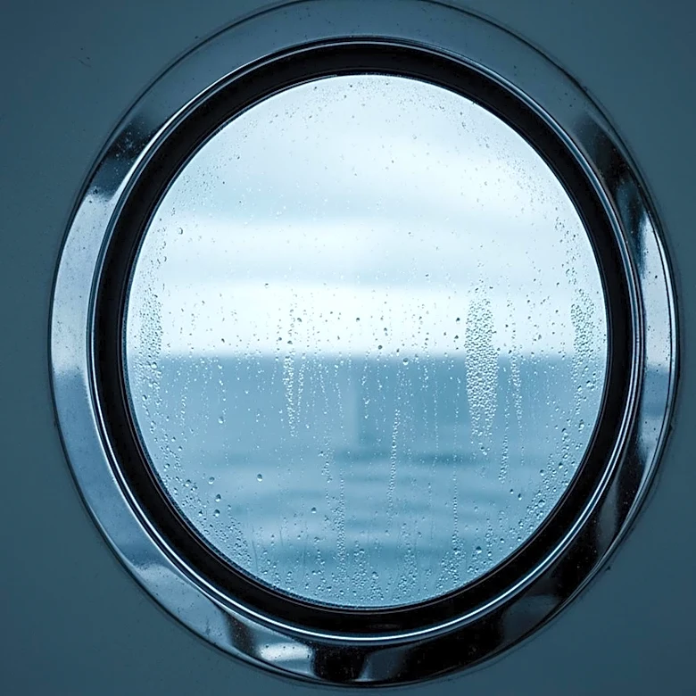 Cruise Ships Face Ongoing Infectious Disease Challenges Amid Recent Outbreaks