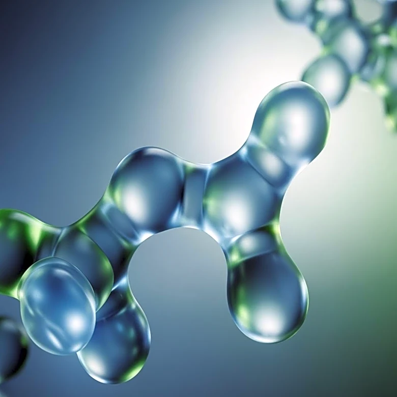 Researchers Identify SHP Protein as Potential Osteoarthritis Treatment