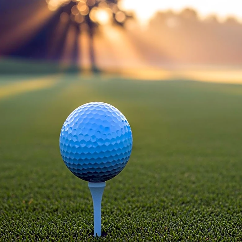Veterans Honored at PGA Championship with Special Tribute on National Armed Forces Day