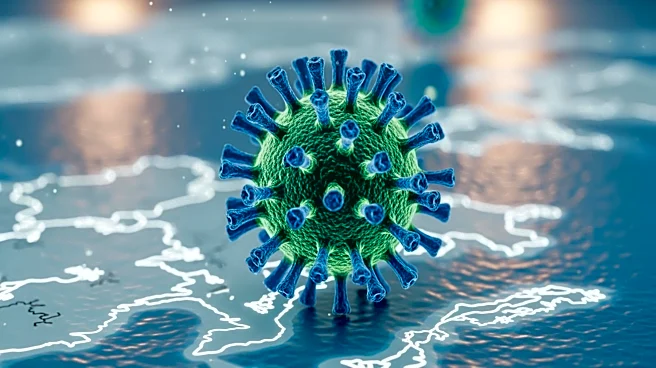 Canadian Officials Report First Hantavirus Case in British Columbia from Cruise Ship Exposure