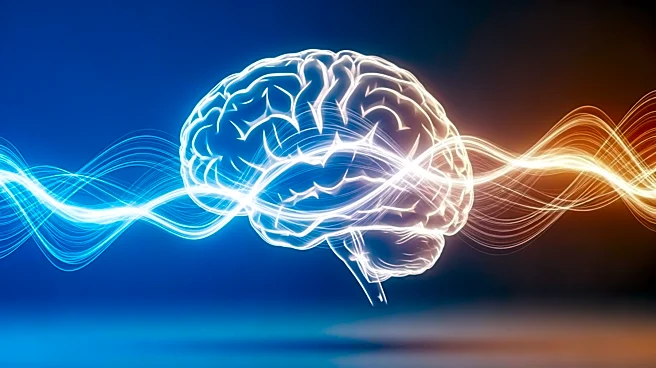 New Research Reveals Exercise Enhances Brain Activity, Boosting Endurance