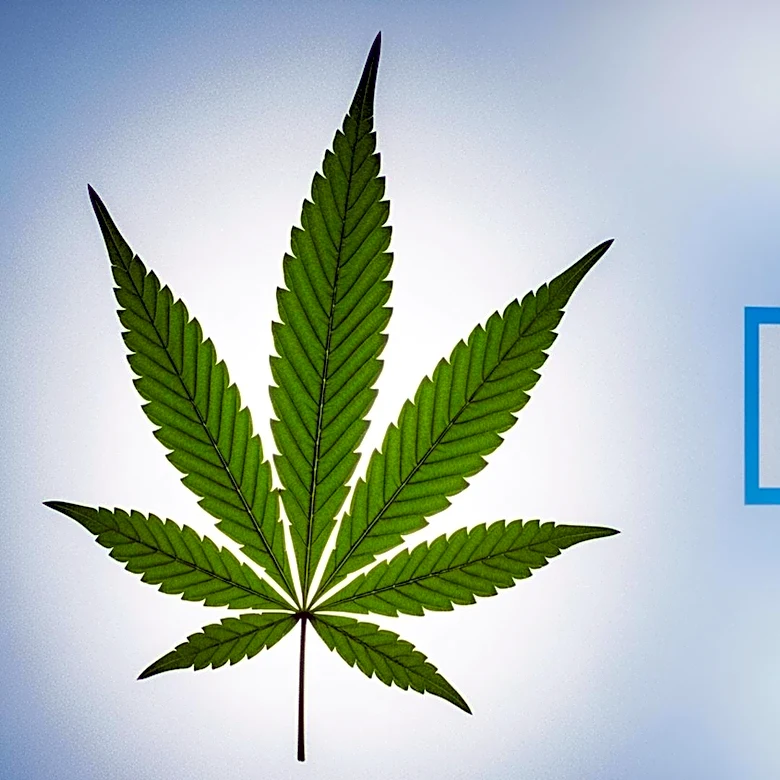 Georgia Governor Expands Medical Cannabis Program with New Legislation
