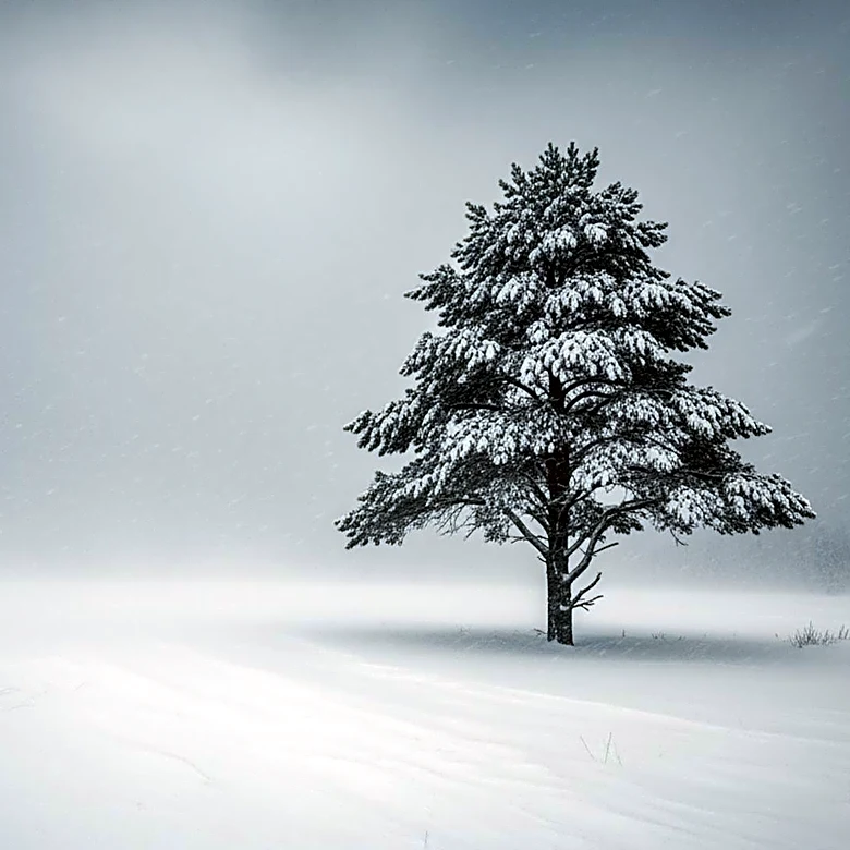 National Weather Service Warns of Hazardous Snowstorm Impacting Wyoming and Surrounding States