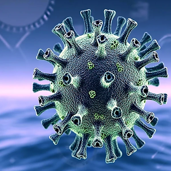 Canadian Health Agency Confirms Positive Hantavirus Case from Cruise Ship Outbreak