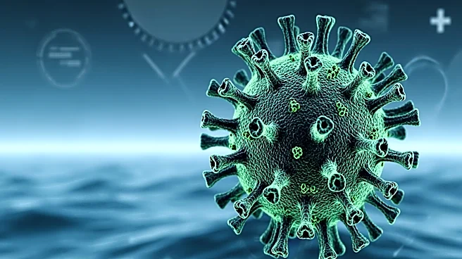 Canadian Health Agency Confirms Positive Hantavirus Case from Cruise Ship Outbreak