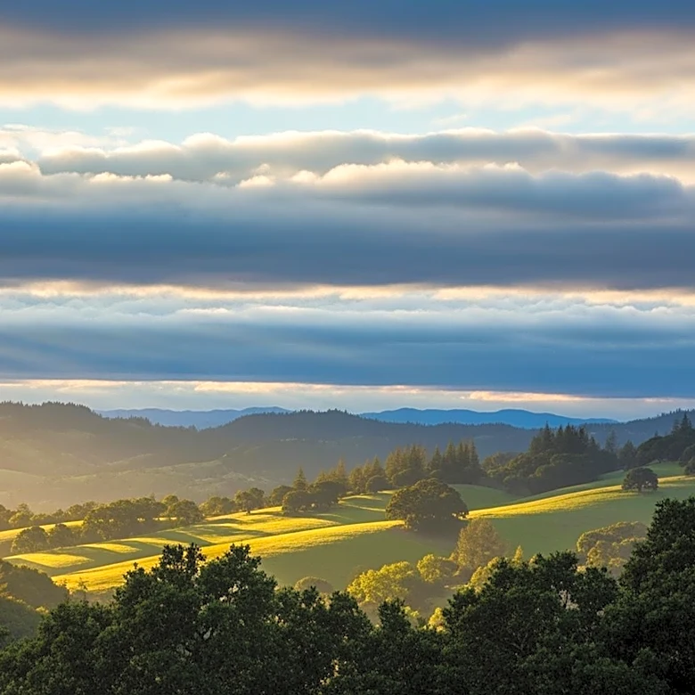 Northern California Weather Forecast Predicts Conditions for Upcoming Week