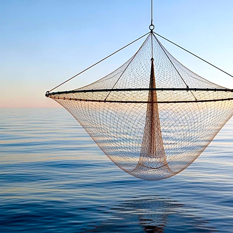 Bottom Trawl Operators Urged to Prove Sustainability Amid Ecological Concerns