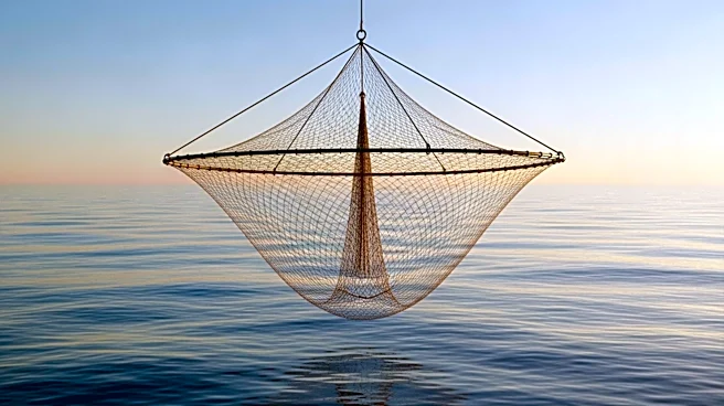 Bottom Trawl Operators Urged to Prove Sustainability Amid Ecological Concerns