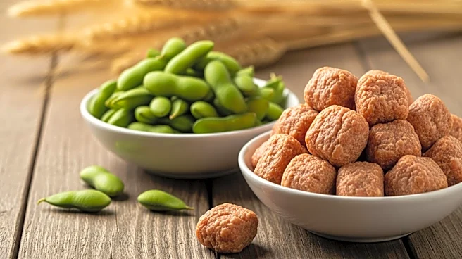 Germany's Meat-Alternatives Production Declines Amidst Long-Term Growth