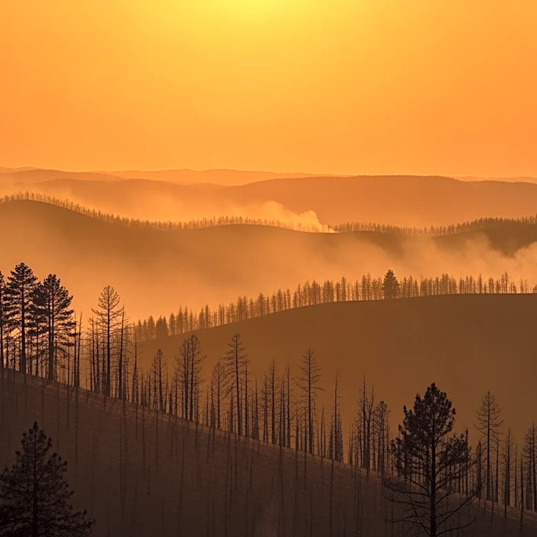 California Wildfires Spread Across Multiple Regions, Prompting Evacuations