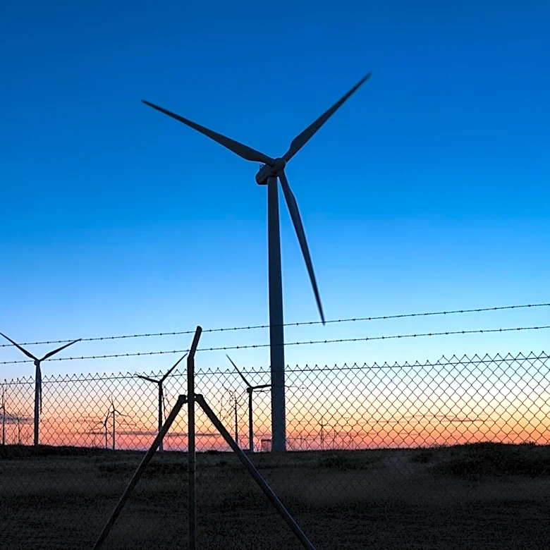 Department of Defense Halts Texas Wind Projects Over National Security Concerns