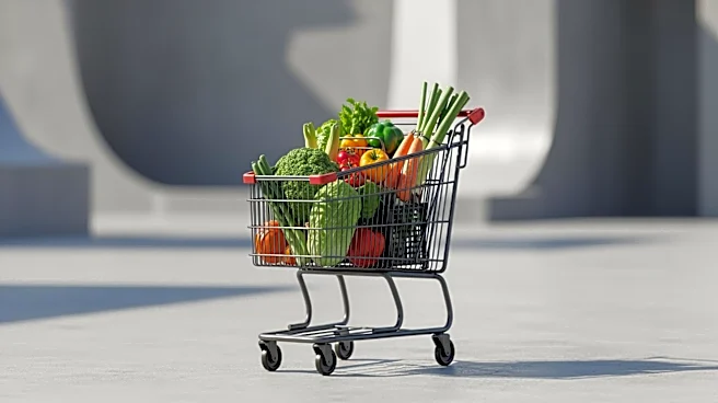 Mamdani Announces Bronx City-Run Grocery Store Location at Hunts Point