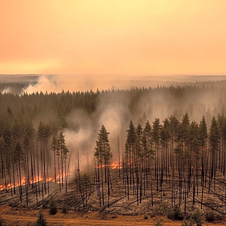 Sandy Fire Expands to Over 1,300 Acres, Triggers Evacuations in California