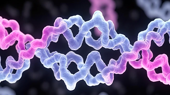 Discovery of HOXD13 Protein as a Key Driver in Melanoma Growth and Survival
