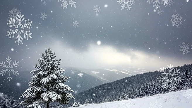 Winter Storm Warning Issued for Montana and Wyoming with Heavy Snowfall Expected