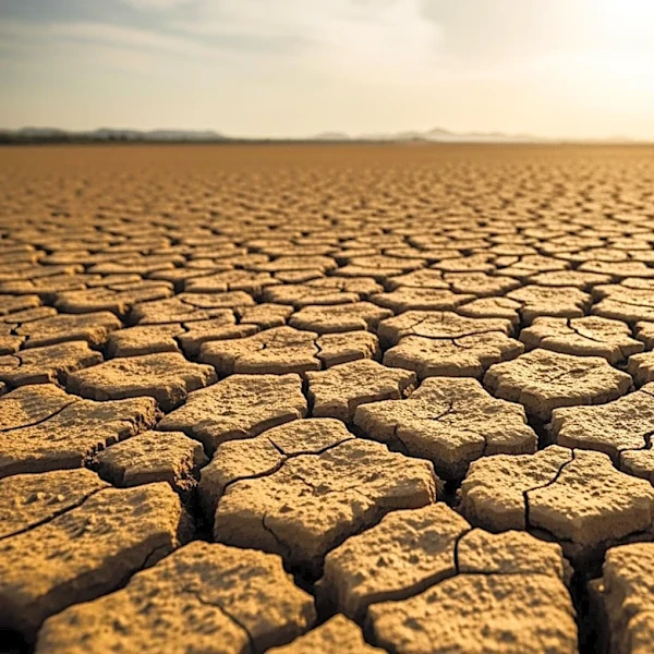 U.S. Drought Monitor: Large Swaths of the Country Facing Extreme Drought