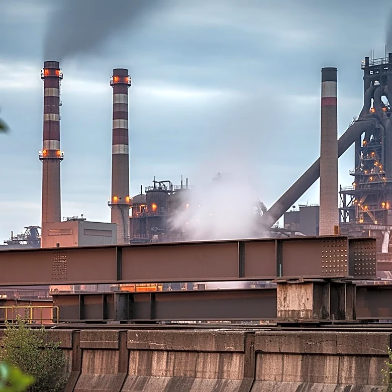 Hyundai Faces Demands Over Environmental and Labor Concerns at Louisiana Steel Mill