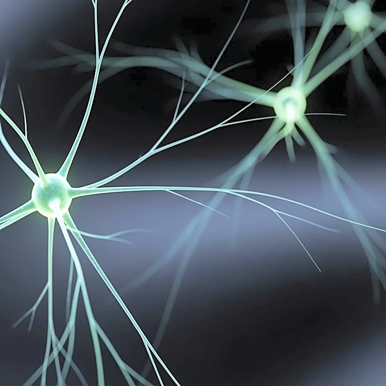 Duke University Researchers Develop New Method to Alleviate Chronic Nerve Pain