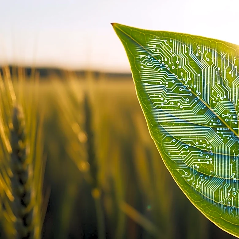 Rajasthan Government Partners with Wadhwani AI to Enhance Agricultural Practices