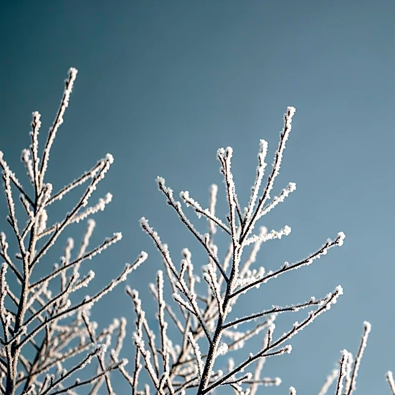 USDA Announces Disaster Designation for Pennsylvania Counties After April Freeze