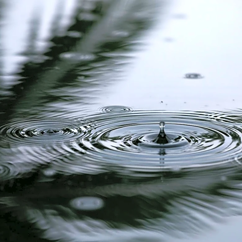 South Florida Faces Increased Rainfall Risk, Potential Flash Flooding