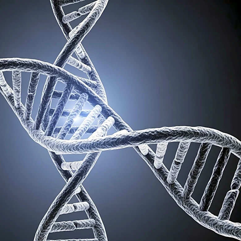 New Study Suggests Genetics Play Major Role in Human Lifespan