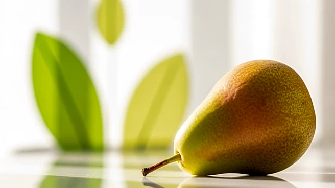 Pears Foundation Pledges $2.3 Million to Combat Blindness in Ethiopia