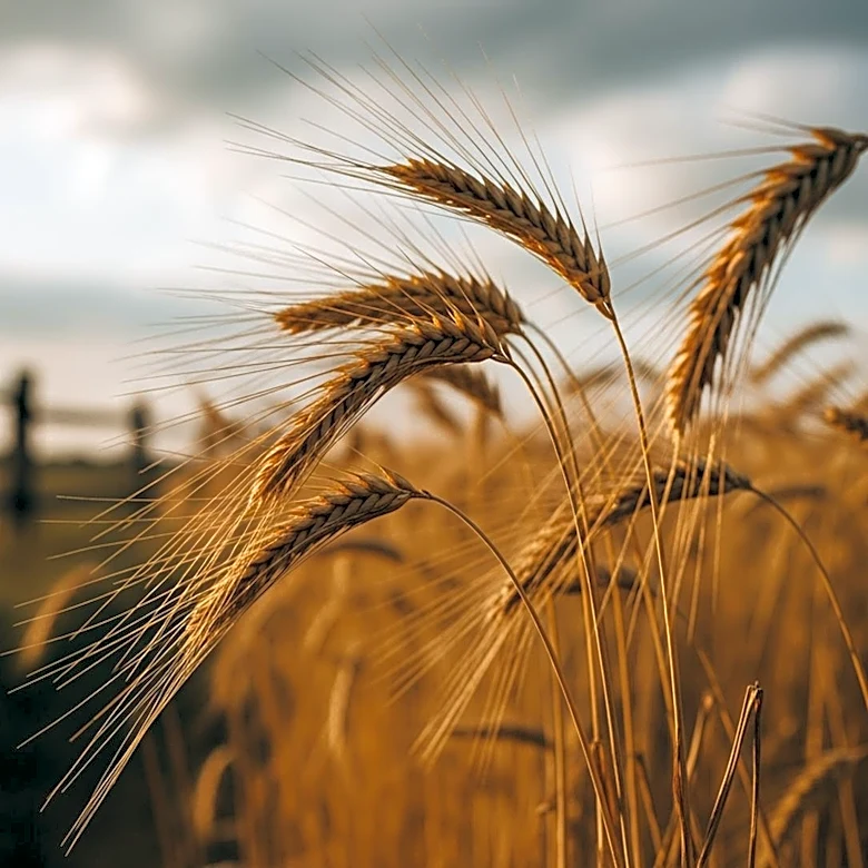 Minnesota Legislature Faces Frustration Over Agriculture Bills Amid Legislative Session
