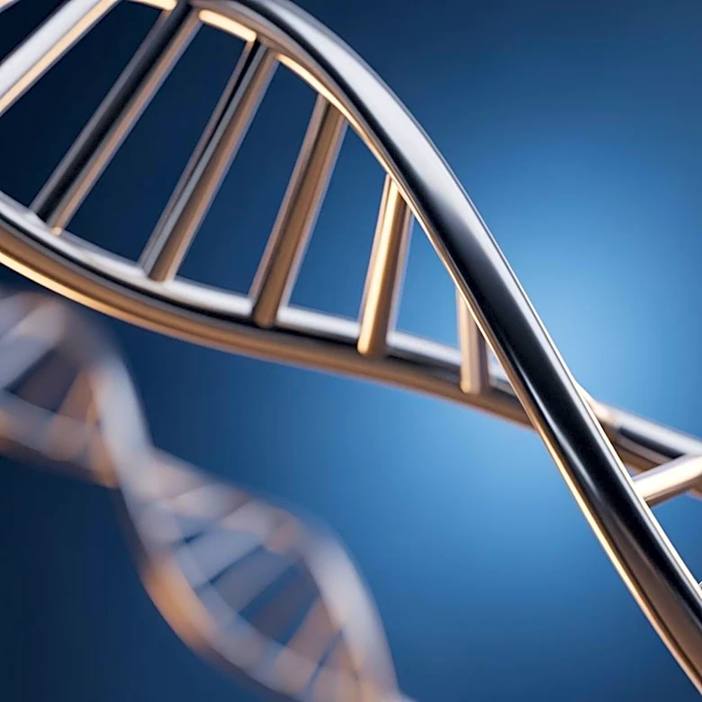 Study Reveals Genetic Heritability Plays Major Role in Human Lifespan