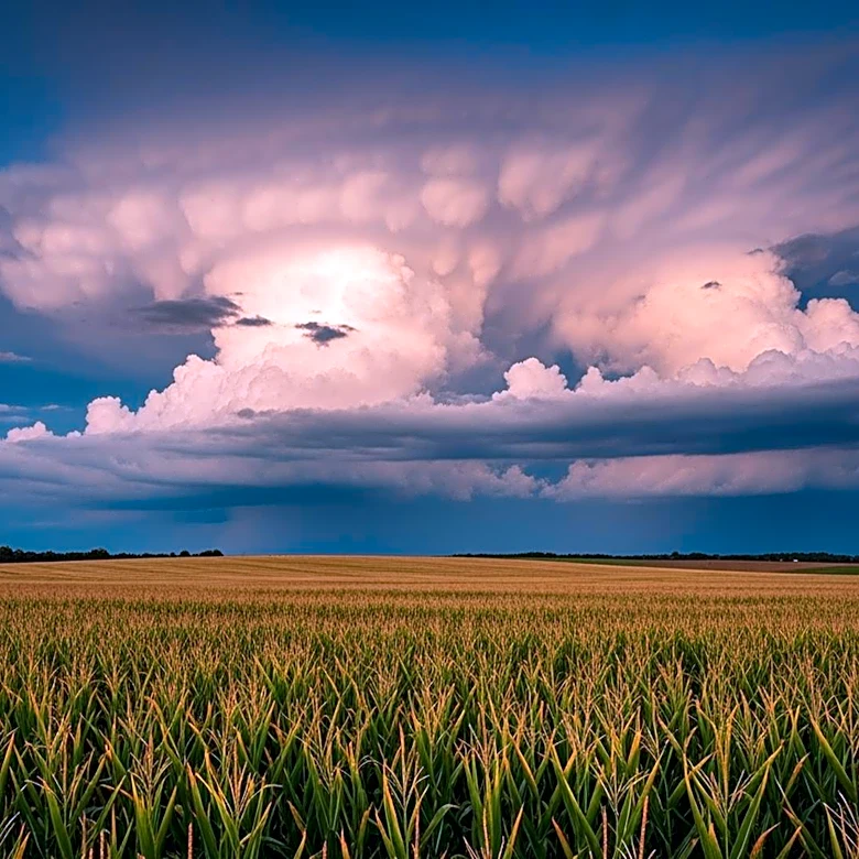 Study Links Corn Belt Agriculture to Stronger Thunderstorm Systems