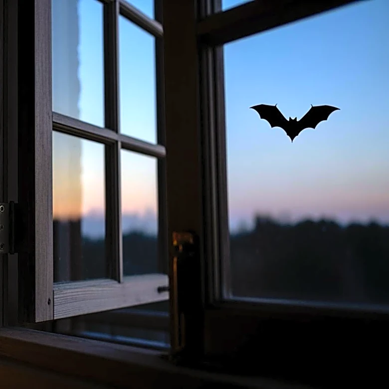 McHenry County Health Department Warns Residents After Rabid Bat Found in Home