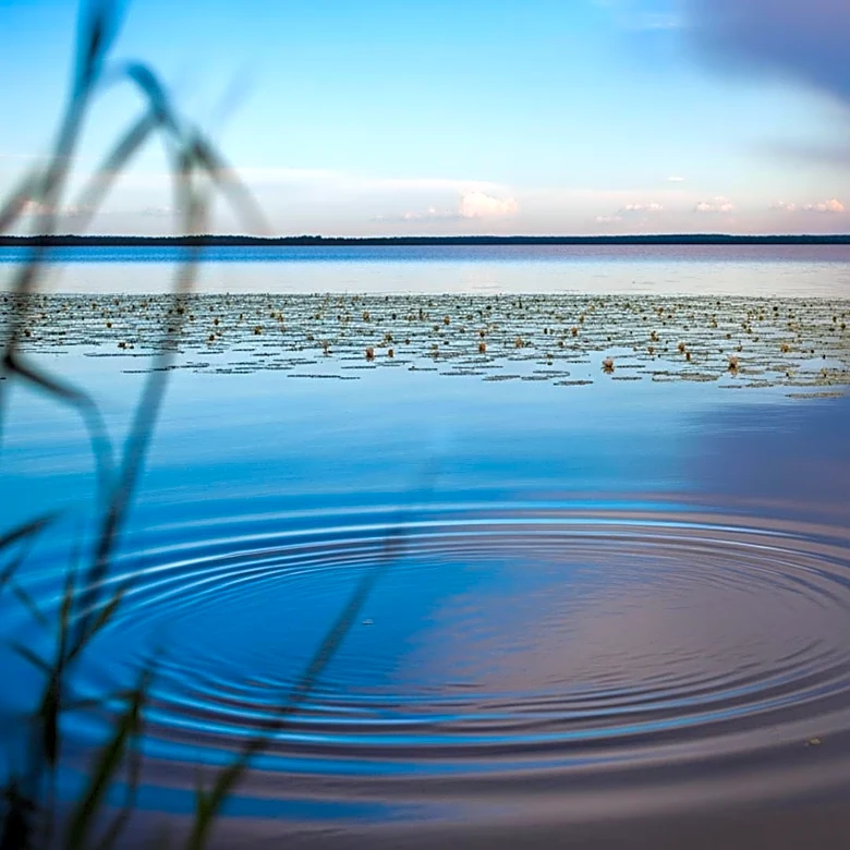 Study Reveals Climate Change Threatens Lakes' Natural Self-Cleaning Abilities