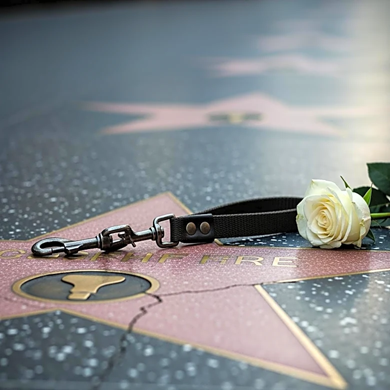 Family Demands Justice After Fatal Dog Attack on Hollywood Walk of Fame