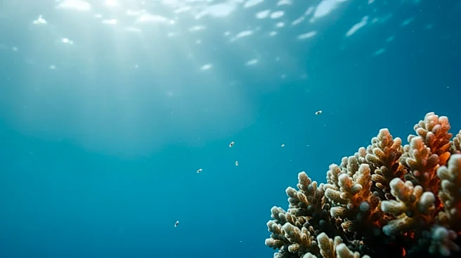 Flesh-Eating Bacteria Cases Rise in Florida, Health Officials Warn of Summer Increase