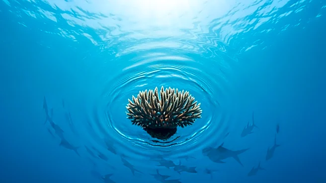 New England Aquarium Hosts Free Events for World Ocean Day