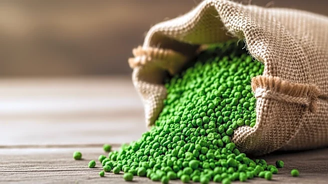 Pakistan's Fertilizer Industry Sees Opportunity Amid Global Supply Crunch
