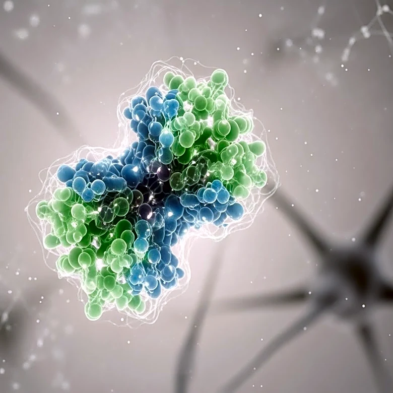 Scripps Research Identifies Key Protein in Alzheimer's Brain Inflammation
