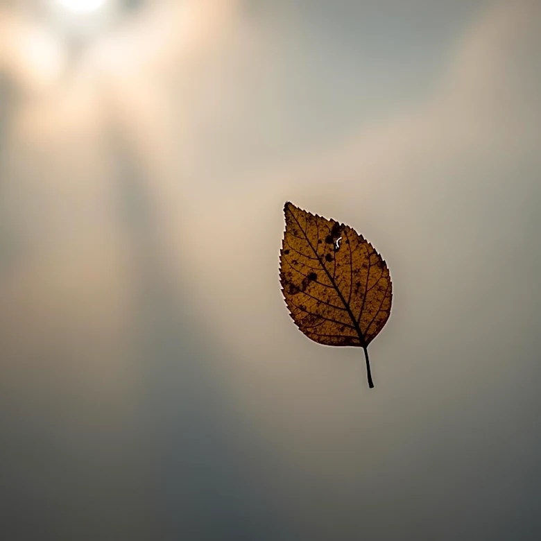 Air Quality Alerts Issued for Texas, Louisiana, and Arkansas Due to Rising Pollution Levels