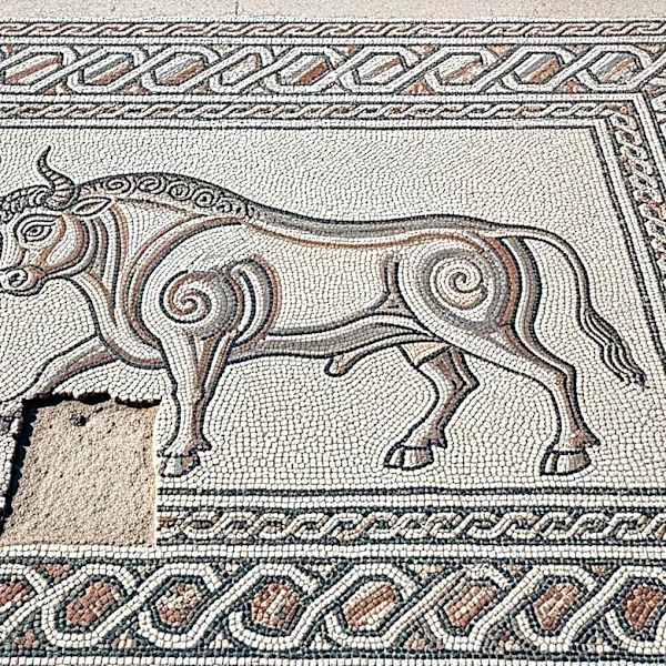 Milan's Bull Mosaic Restoration Sparks Controversy Over Missing Testicles